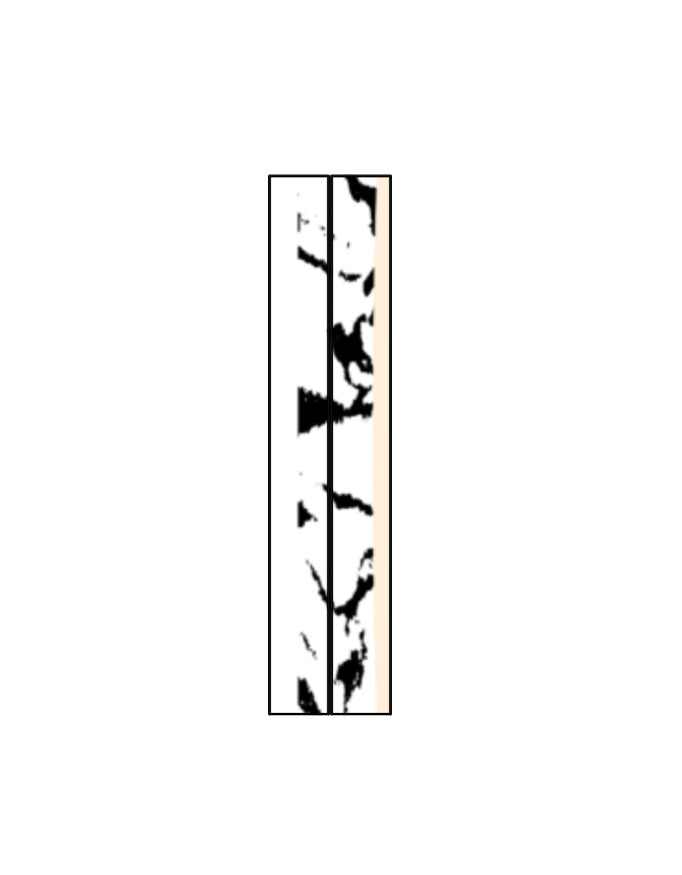 Left_Shoulder_3_c_17.jpg
